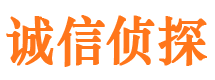 柏乡调查公司